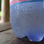 Condensation_on_water_bottle